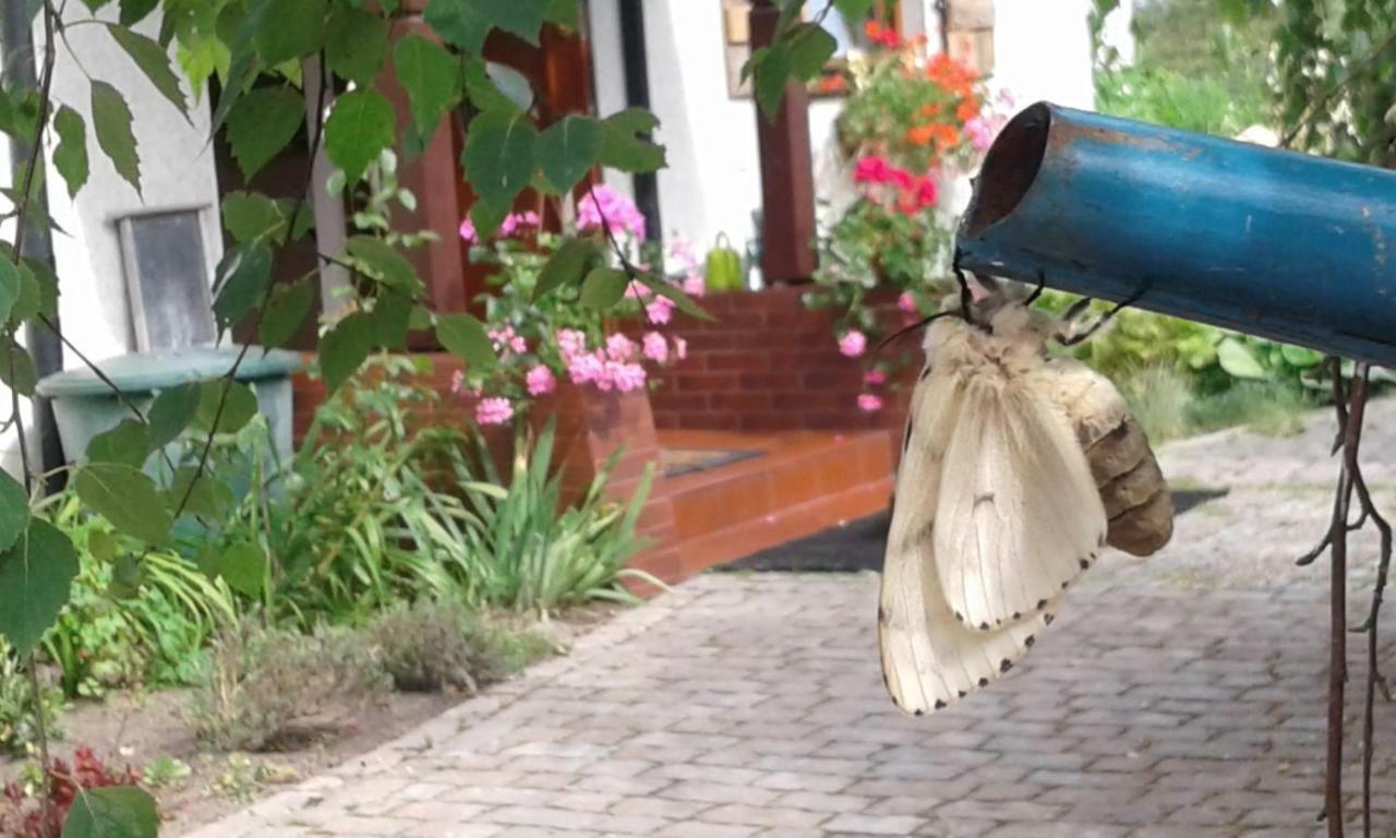Pokoje Goscinne Aga Widuchowa Bagian luar foto